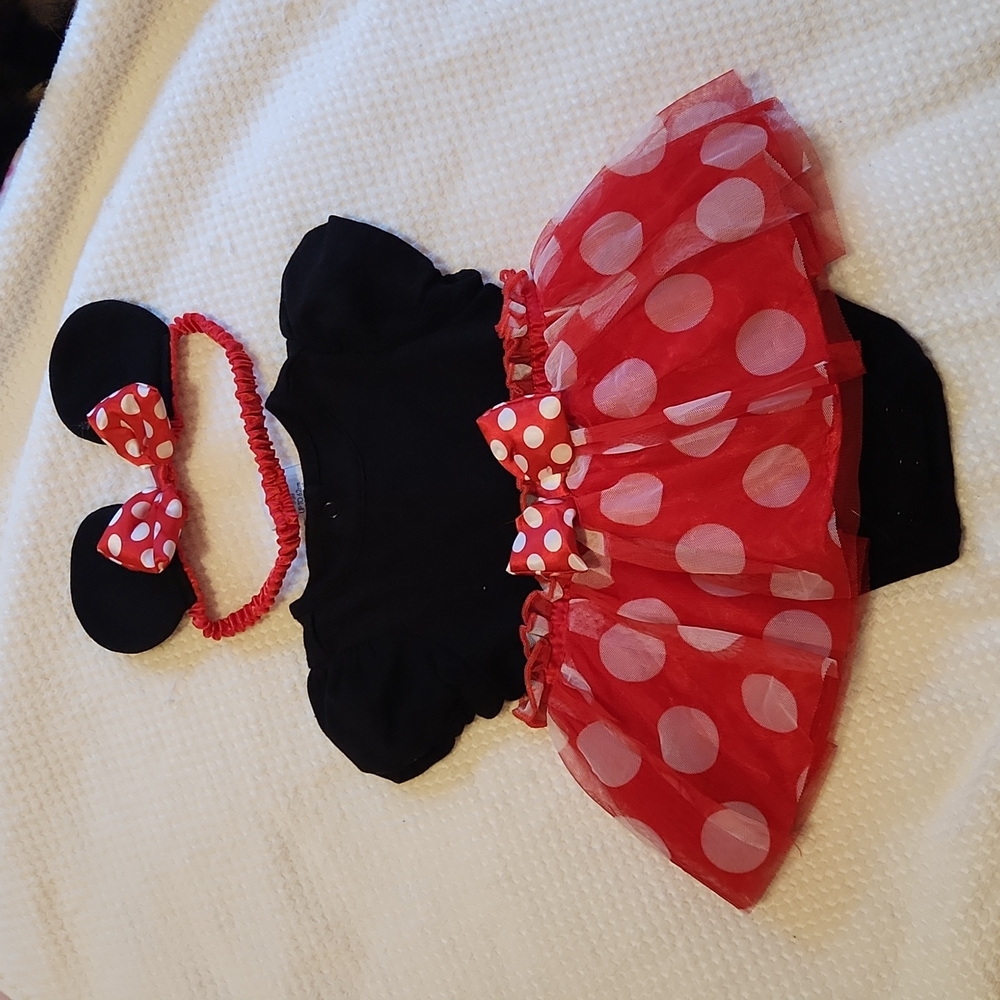 Disney Minnie Mouse Dress and Ears